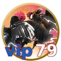 vip79