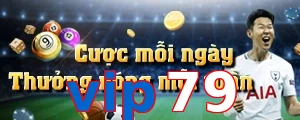 vip79